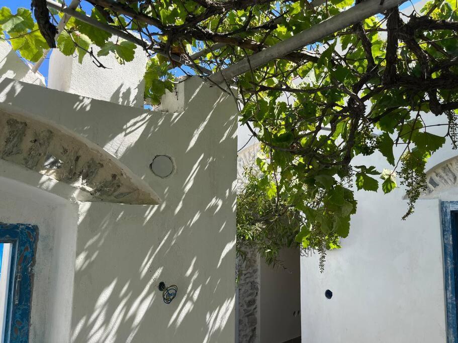 Dream House Little Villa - Amorgos Buitenkant foto