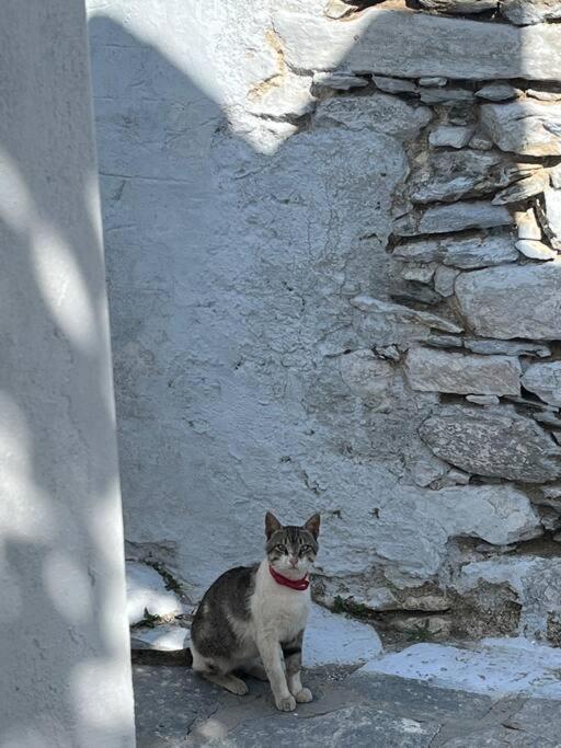 Dream House Little Villa - Amorgos Buitenkant foto