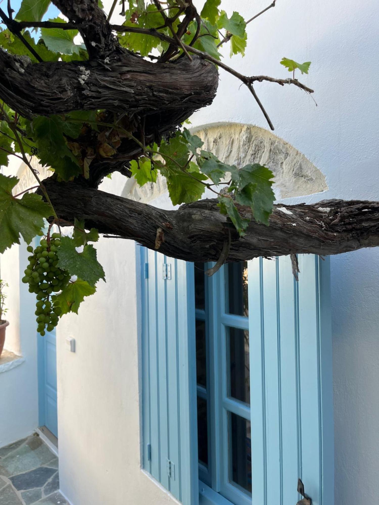 Dream House Little Villa - Amorgos Buitenkant foto
