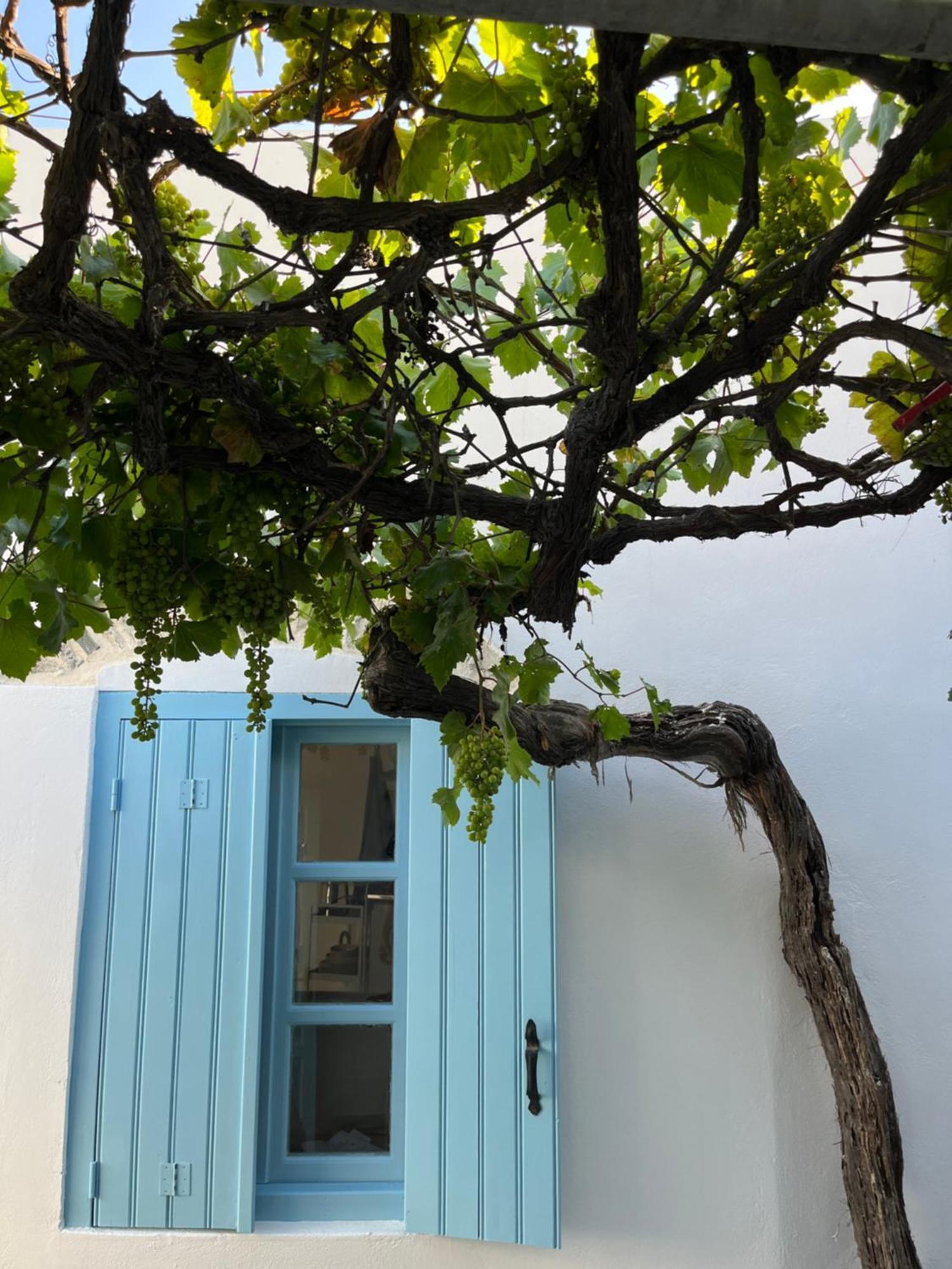 Dream House Little Villa - Amorgos Buitenkant foto
