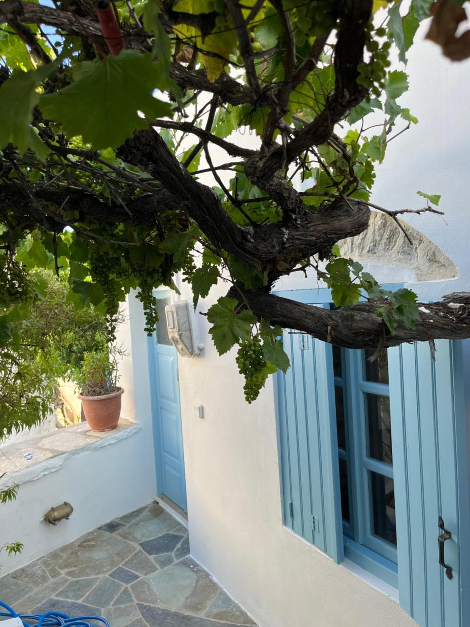 Dream House Little Villa - Amorgos Buitenkant foto